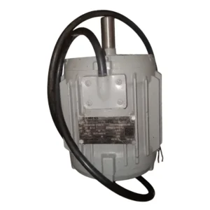 Siemens 3 Phases Asynchronous Inverter Duty Motor